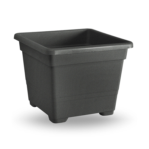 kvadratna plastmasova saksiya