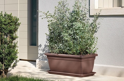 Сандък като акцент на плочника